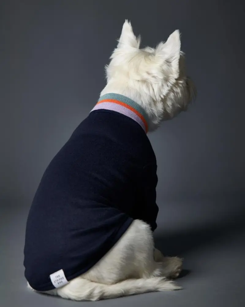 Lakewood Navy Pullover Dog Sweater With Striped Neckline & Cuffs (Clearance) 2
