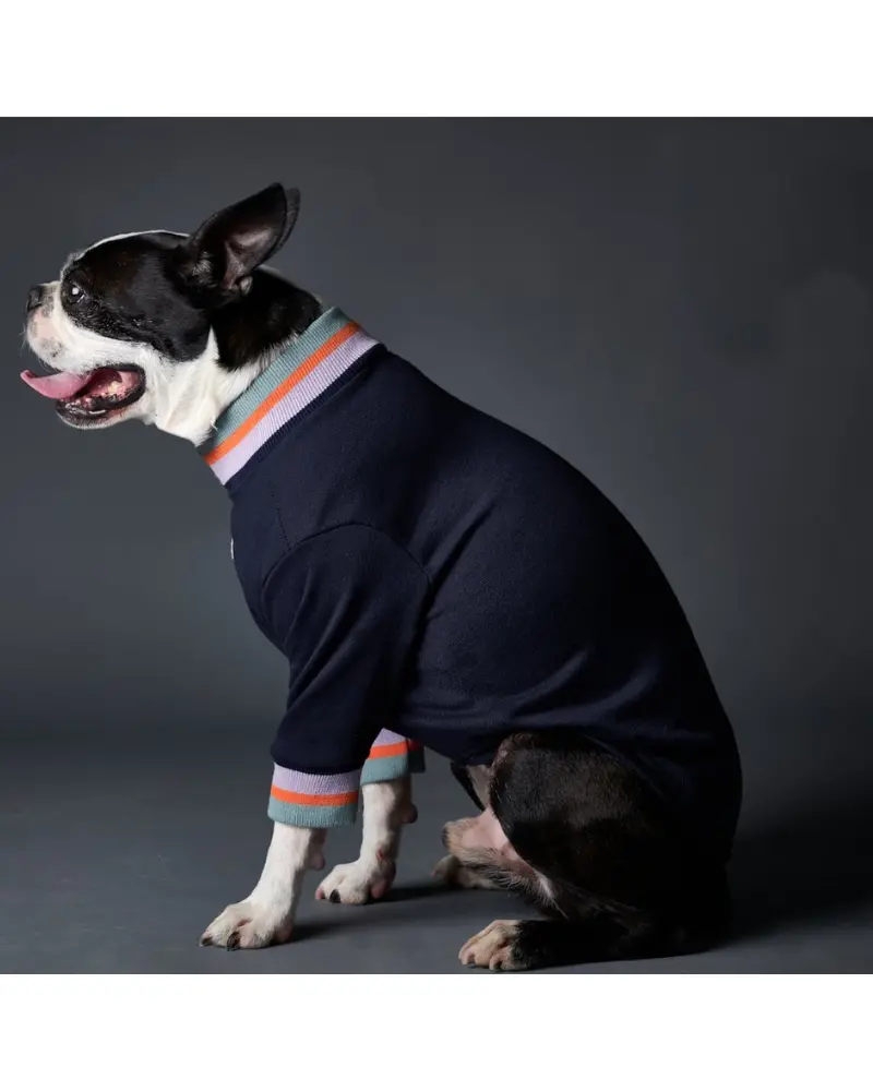 Lakewood Navy Pullover Dog Sweater With Striped Neckline & Cuffs (Clearance) 3