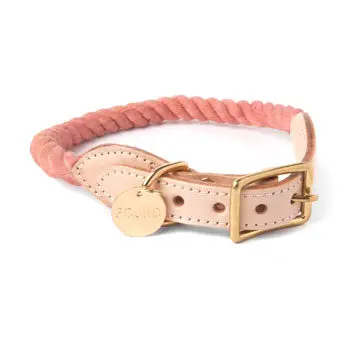 Found My Animal | Rope Collar In Blush 1