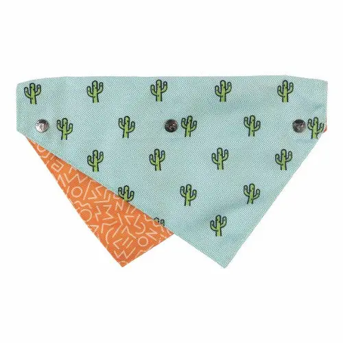 Fuzzyard | Reversible Tucson Bandana 1