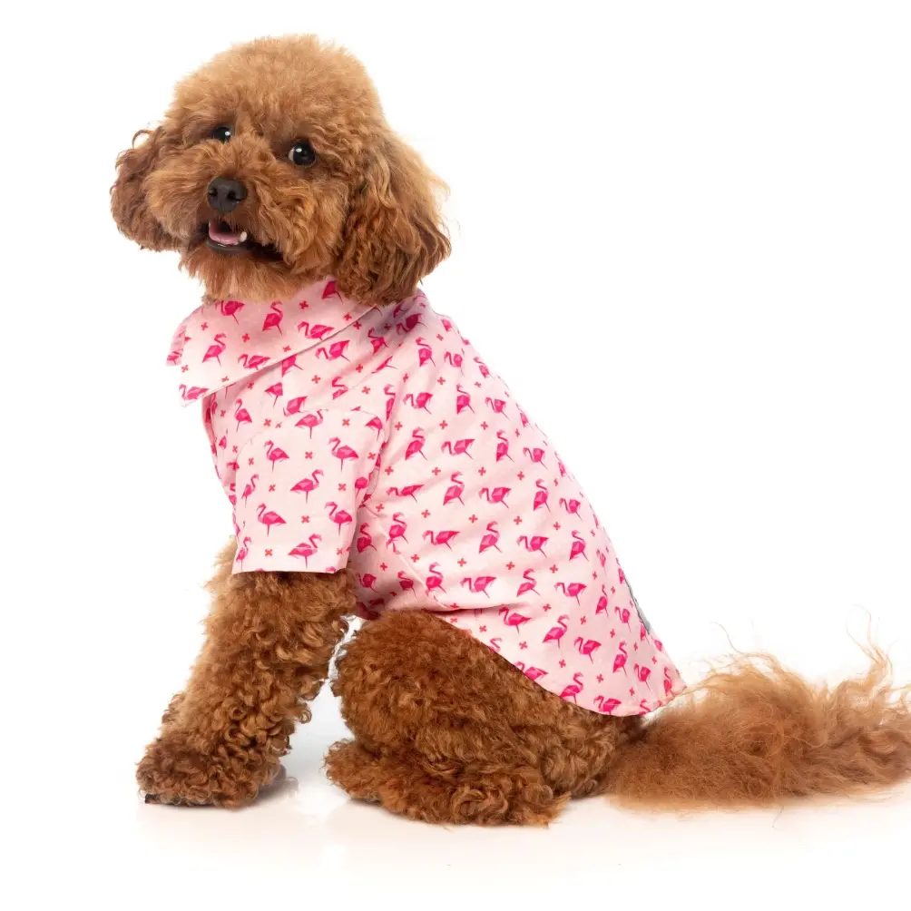 Fuzzyard | Fabboyant Hawaiian Shirt 1
