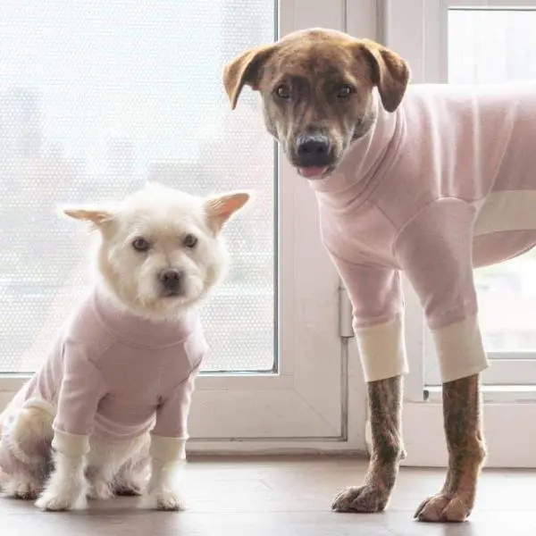 The Furryfolks | High Neck Jumpsuit In Blush 1