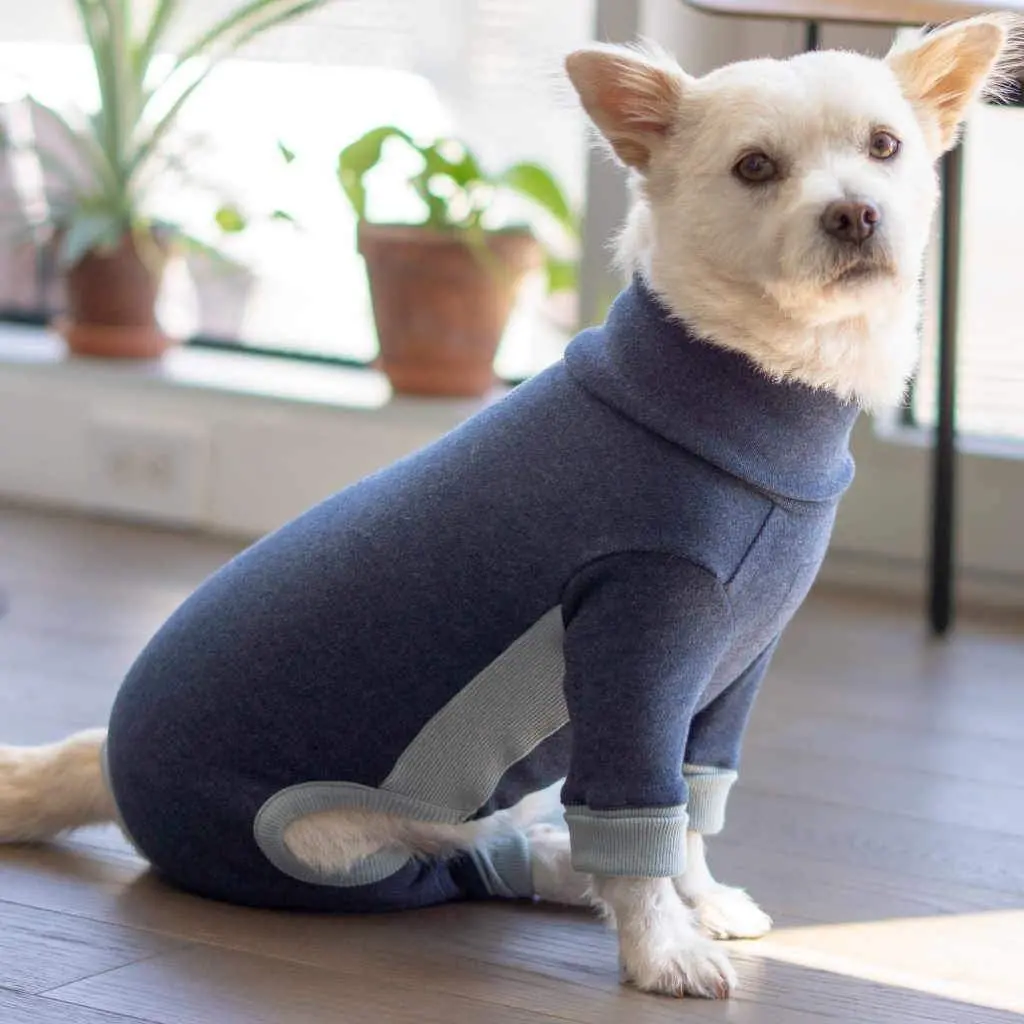 The Furryfolks | High Neck Jumpsuit In Navy 1