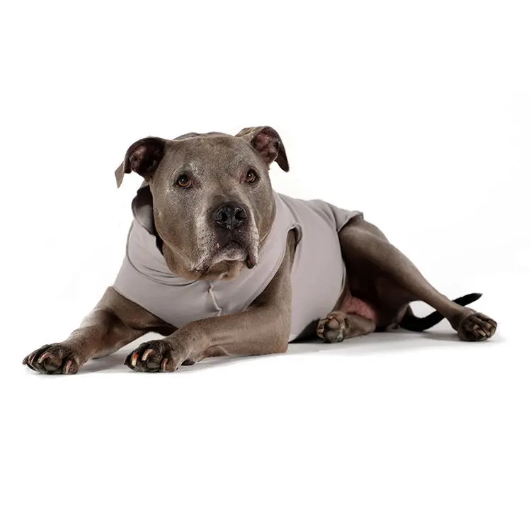 Santa Fe Organic Cotton Pullover In Silver Grey (Final Sale) 1