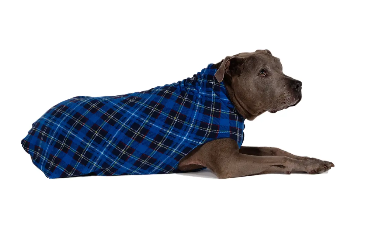 Gold Paw | Stretch Fleece In Blue Plaid 1