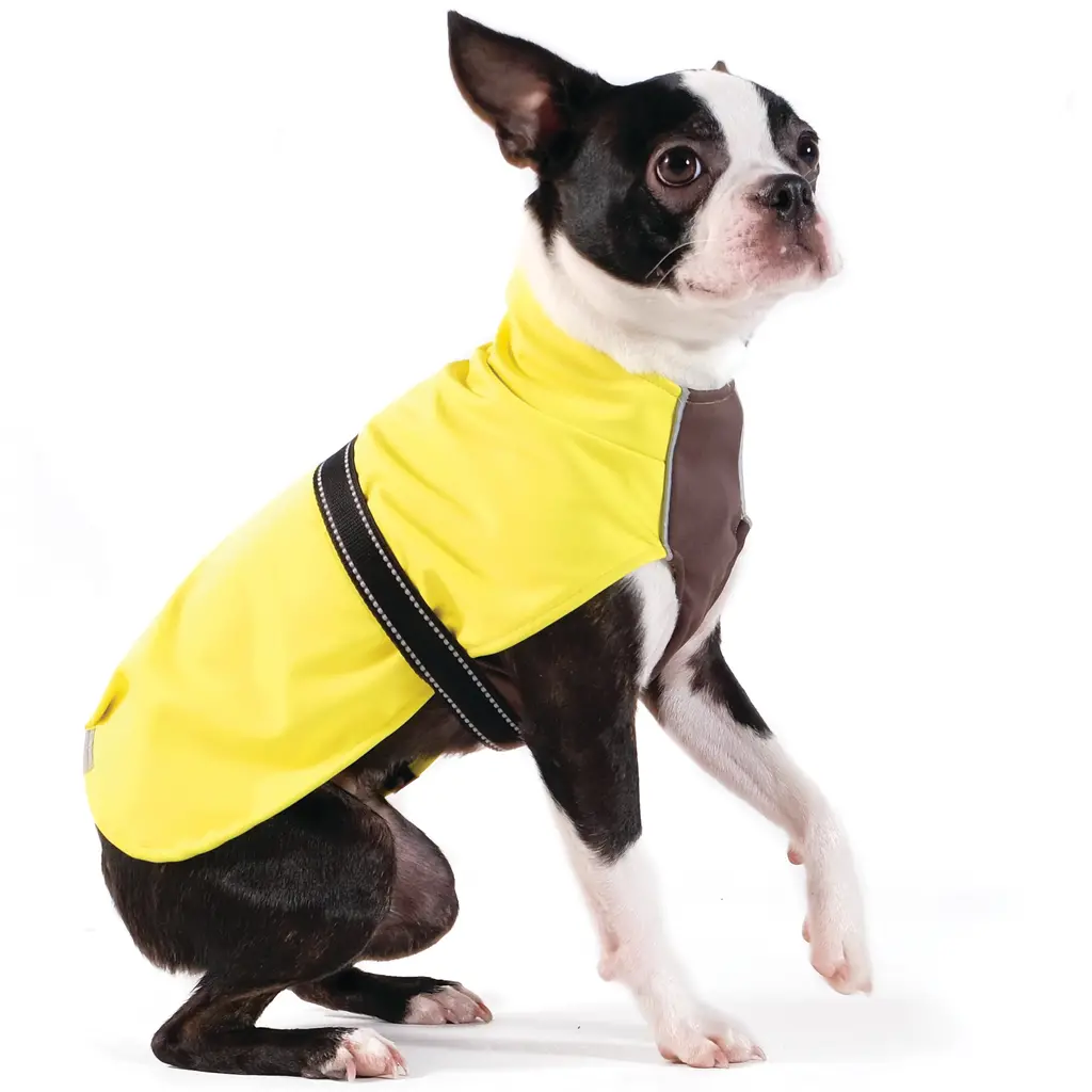 Gold Paw | Rain Paw Jacket In Yellow & Black 1