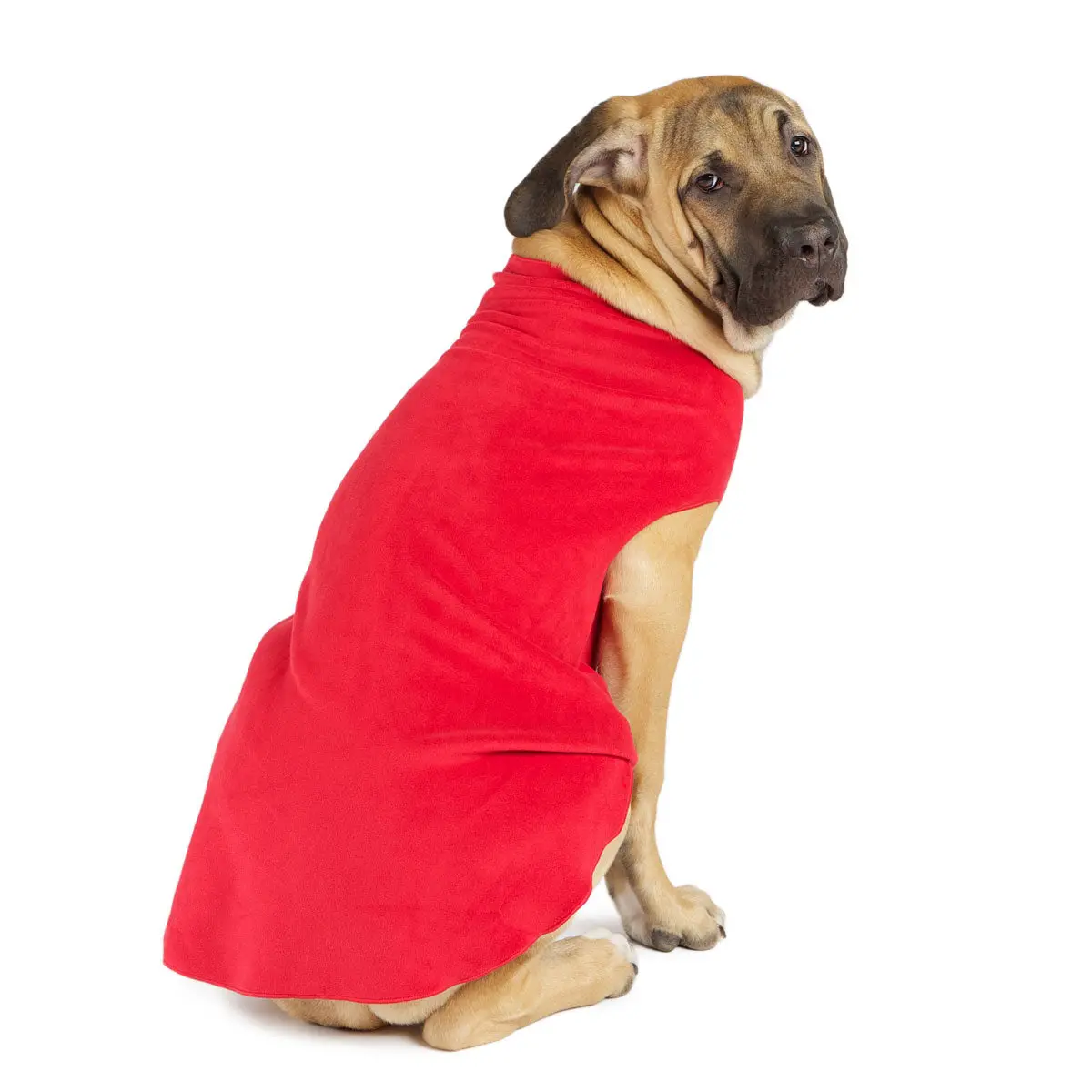 Gold Paw | Stretch Fleece In Red 1