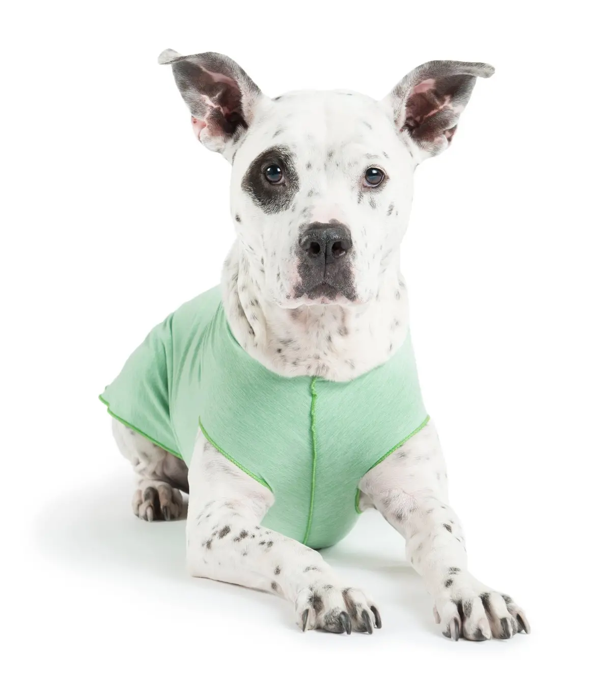Gold Paw | Sun Shield Tee In Pistachio Heather 1