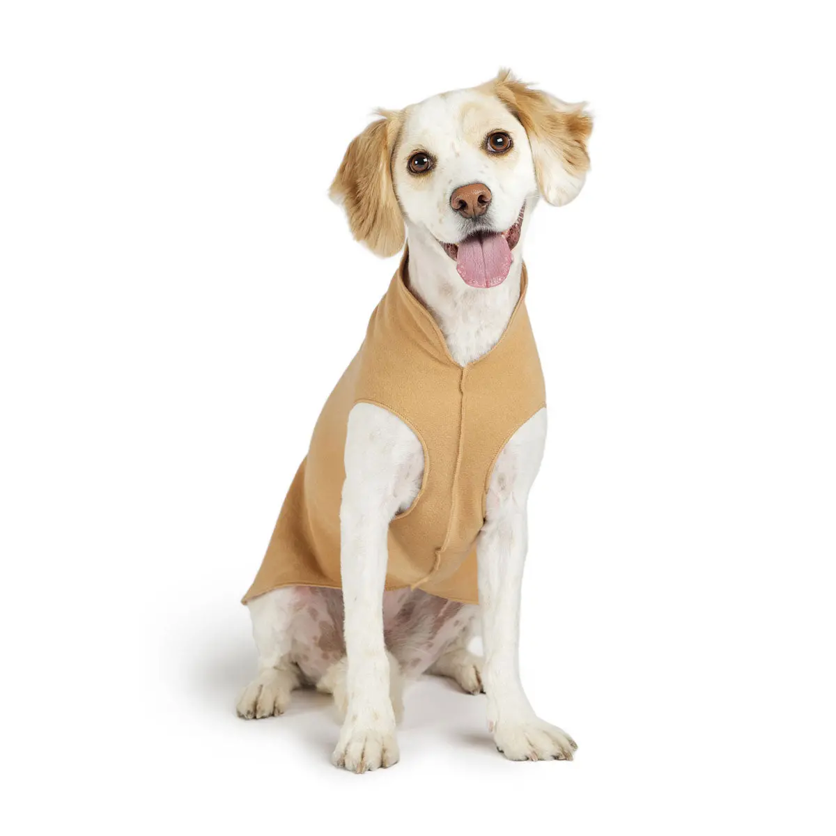 Gold Paw | Stretch Fleece In Camel 1