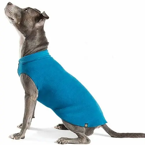 Gold Paw | Stretch Fleece In Marine Blue 1