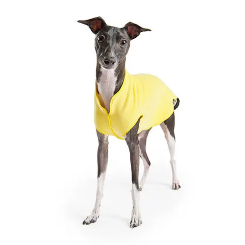 Gold Paw | Stretch Fleece In Sunflower Yellow 1