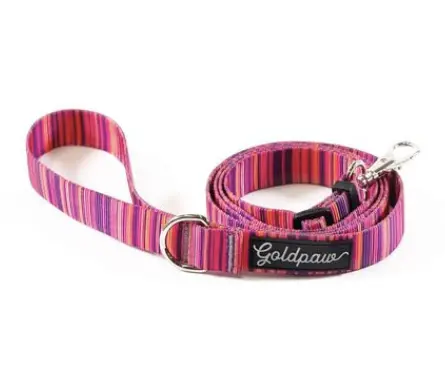 Gold Paw | Adjustable Leash In Sunset 1