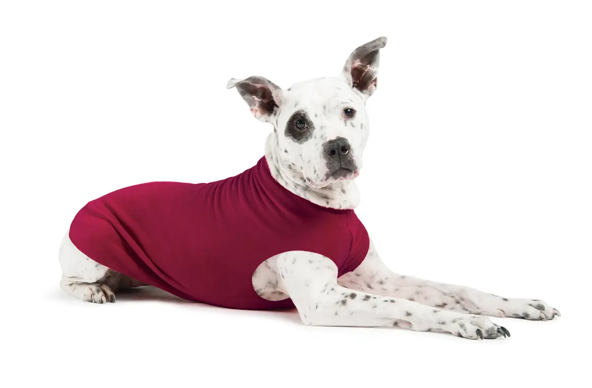Stretch Fleece In Garnet << Clearance >> 1