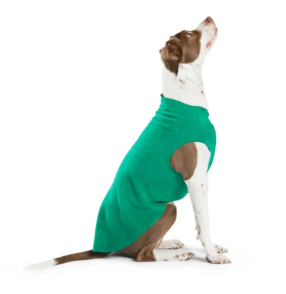Gold Paw | Stretch Fleece In Emerald Green (Big Dog Sale) 1