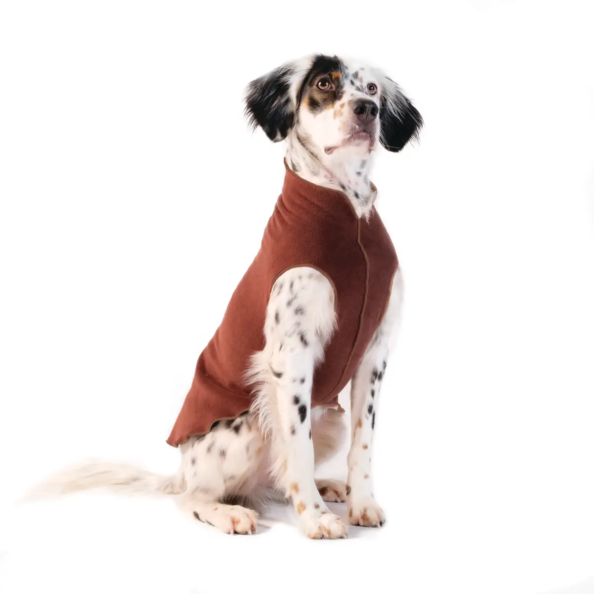 Stretch Fleece In Chestnut (Final Sale) 1