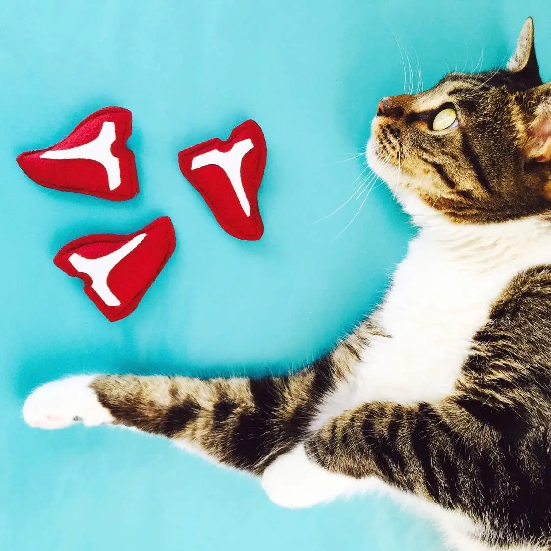 Housecat Club | Catnip T Bone Steak 1