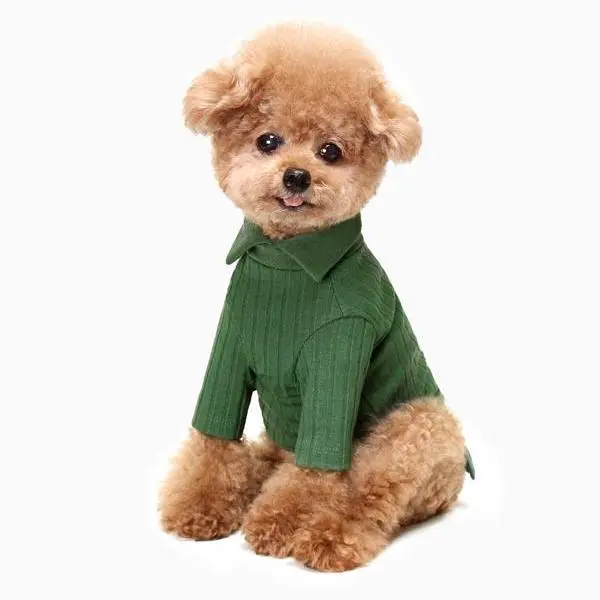 Huts & Bay | Knit Collar Shirt In Green 1
