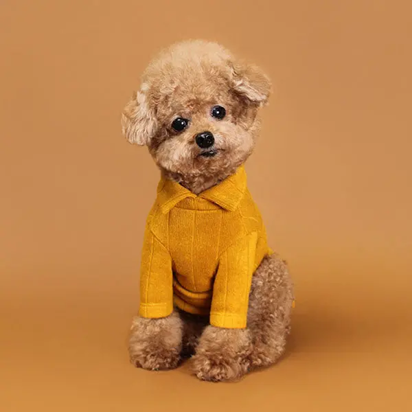 Huts & Bay | Knit Collar Shirt In Mustard 1