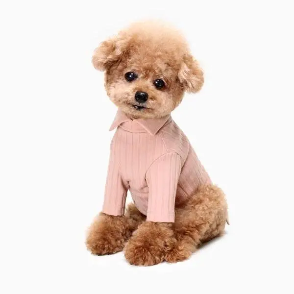 Huts & Bay | Knit Collar Shirt In Pink 1