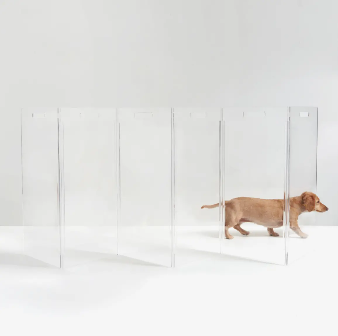 Clear Lucite Freestanding Zig-Zag Pet Gate (Made In The Usa) (Direct-Ship) 1