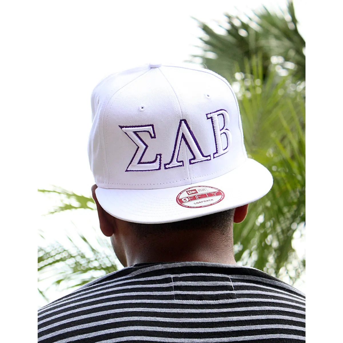 Sigma Lambda Beta Hat 1