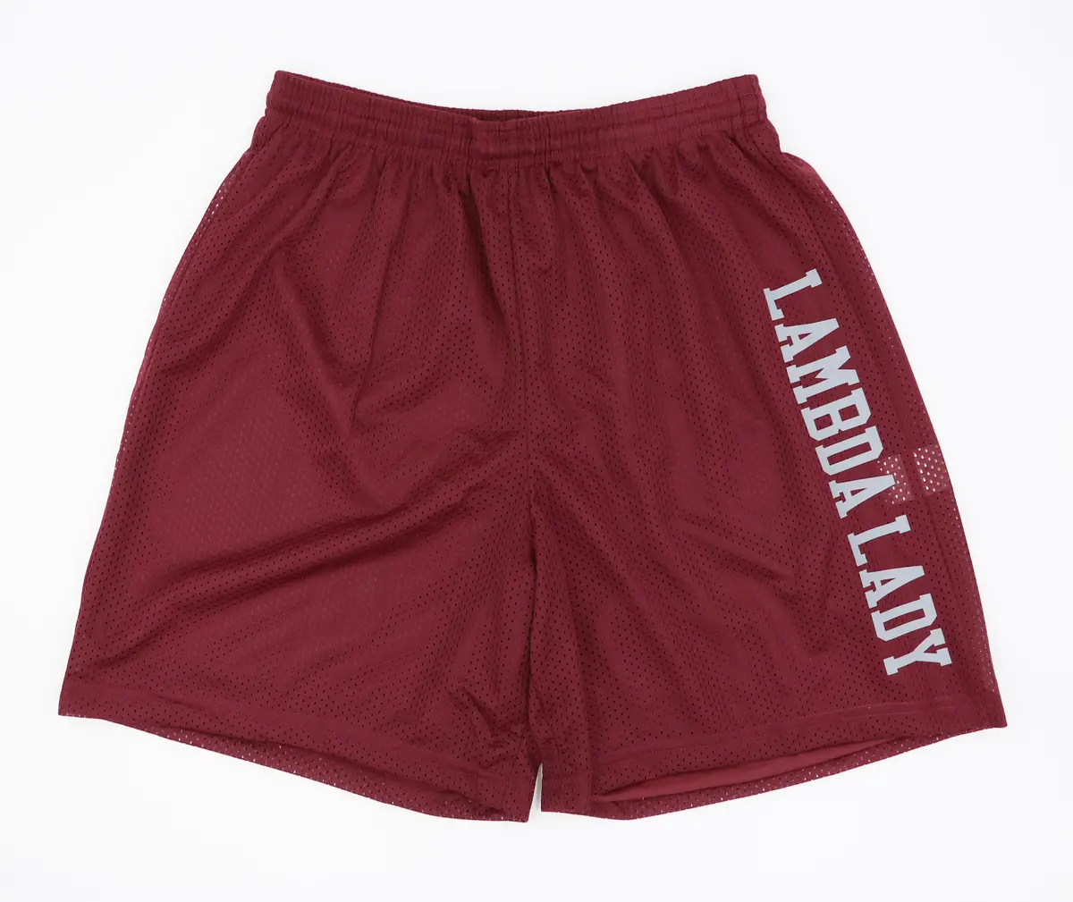 Lambda Theta Alpha Basketball Shorts 1