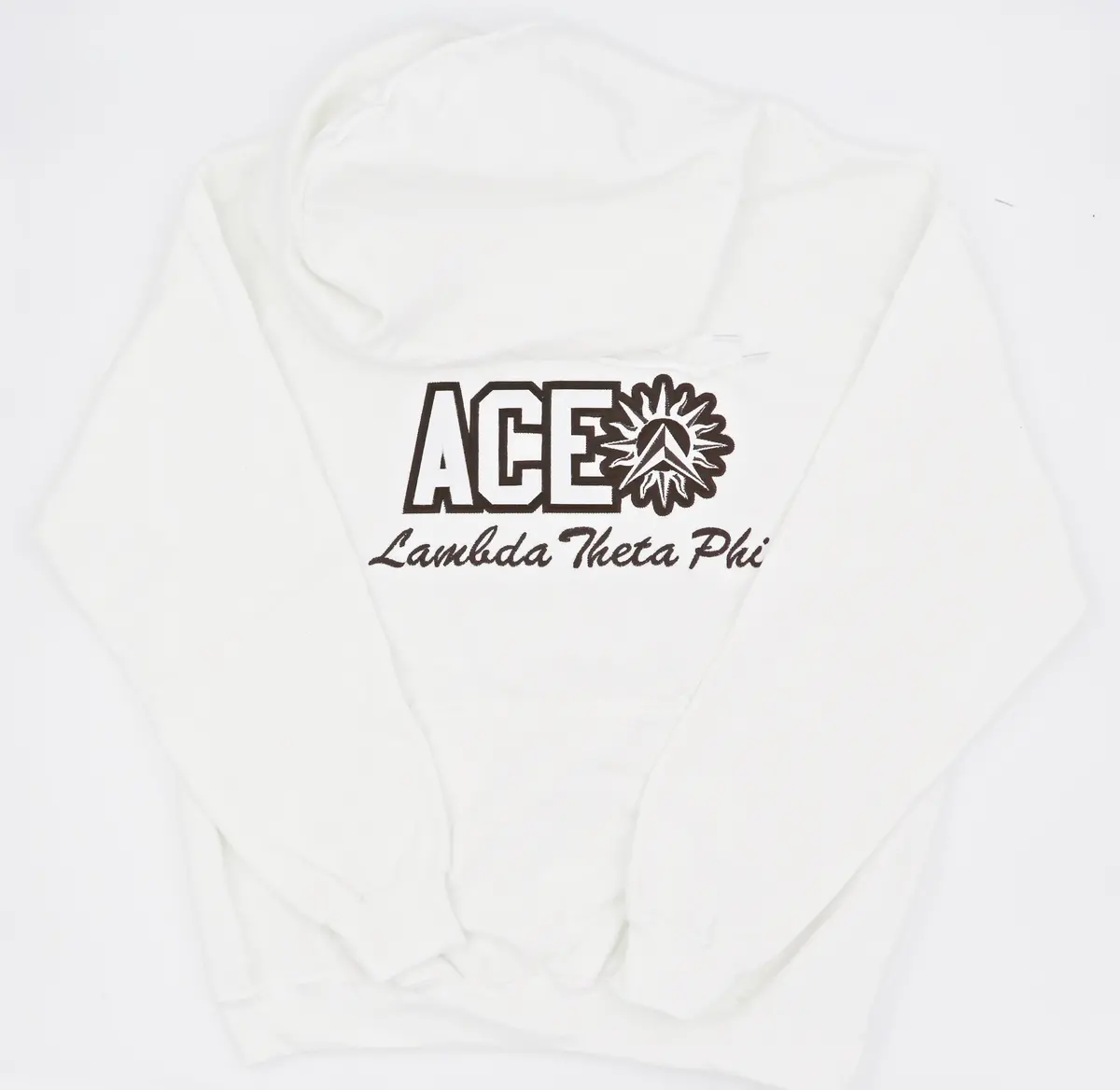 Lambda Theta Phi Sol De Lambda Word Hoodie 2