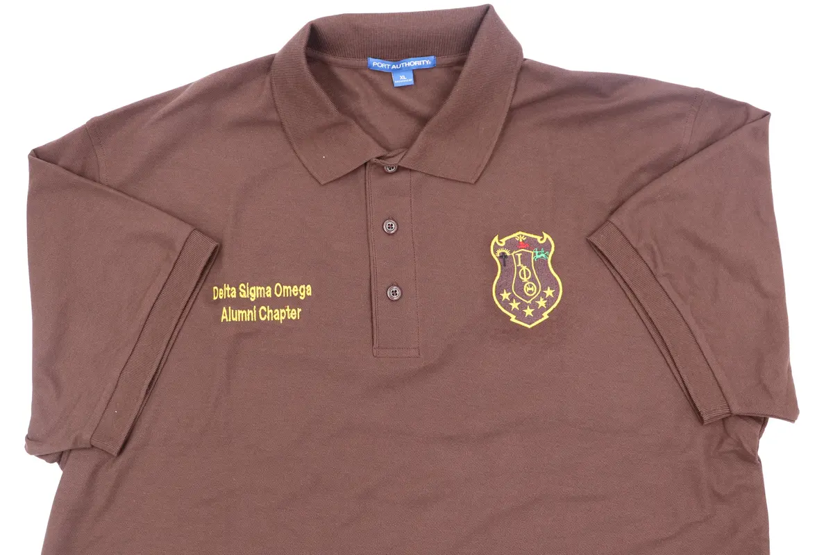 Iota Phi Theta - Delta Sigma Omega Chapter Polo 1