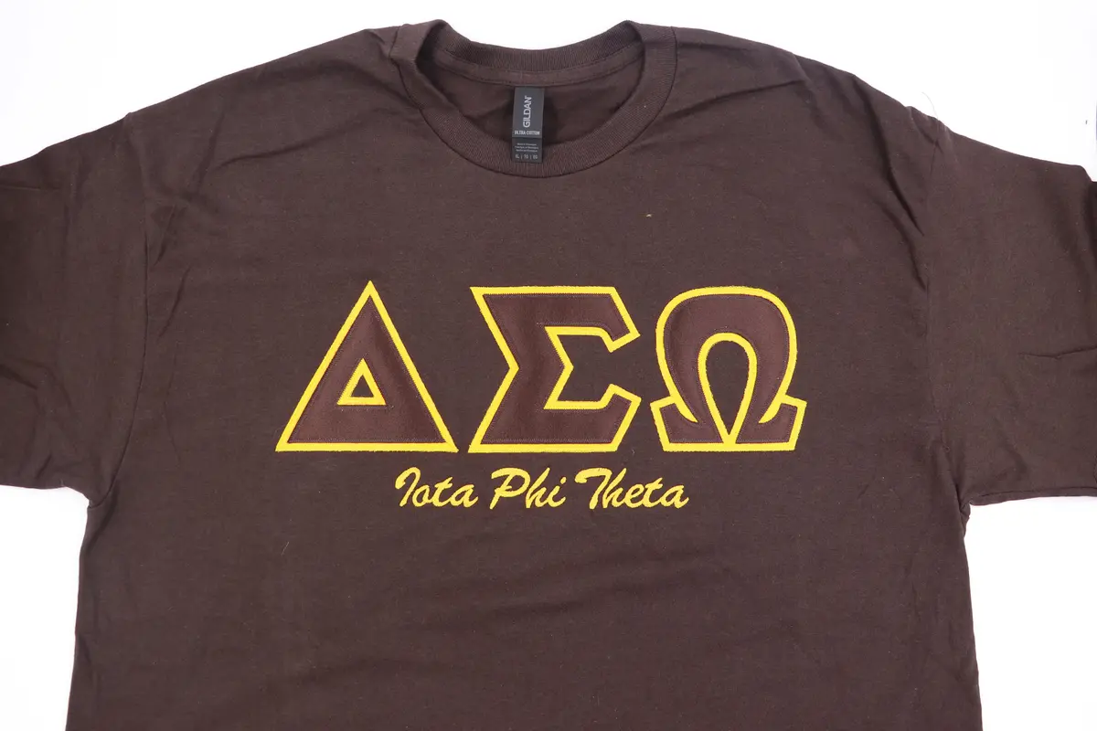 Iota Phi Theta - Delta Sigma Omega Chapter Tee Shirt 1