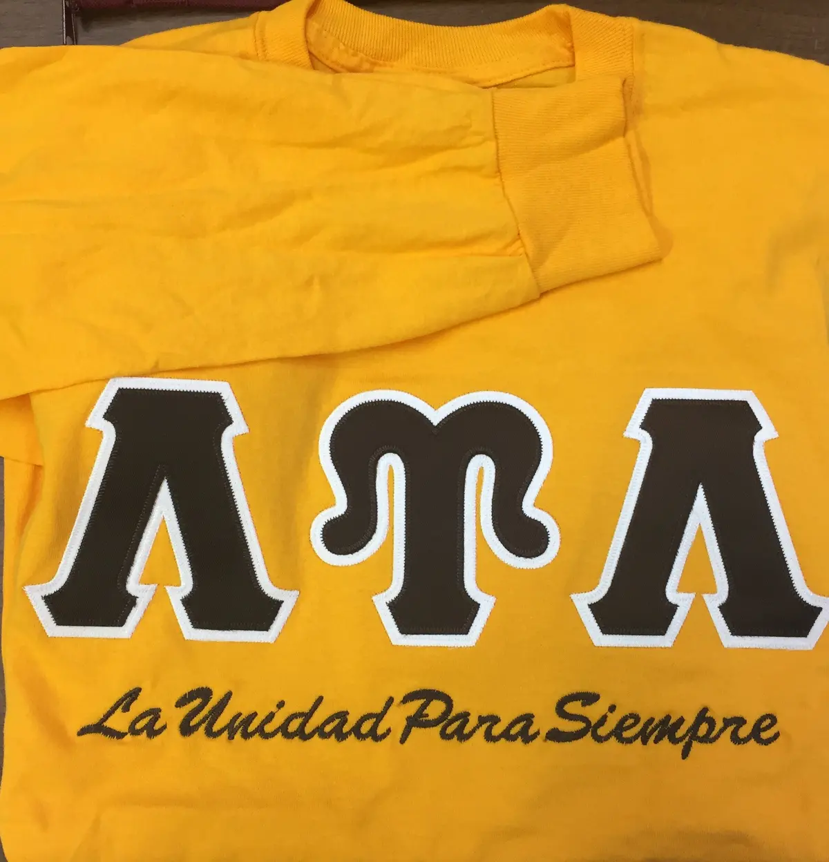 Lambda Upsilon Lambda Motto Long Sleeve 1