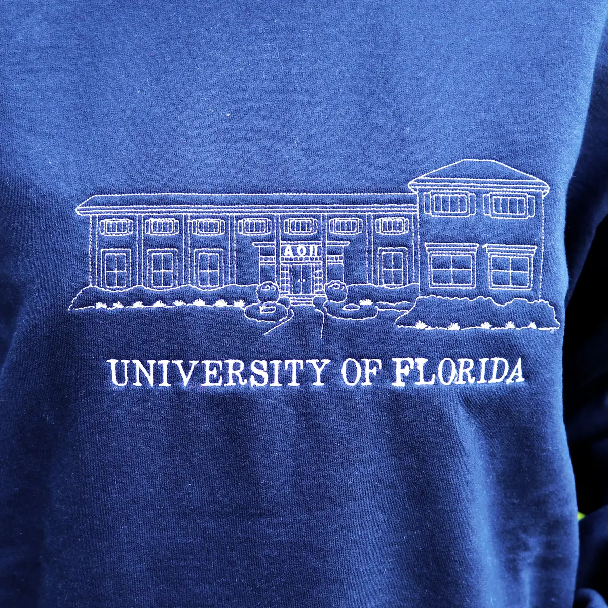Alpha Omicron Pi 819 House Crewneck 1
