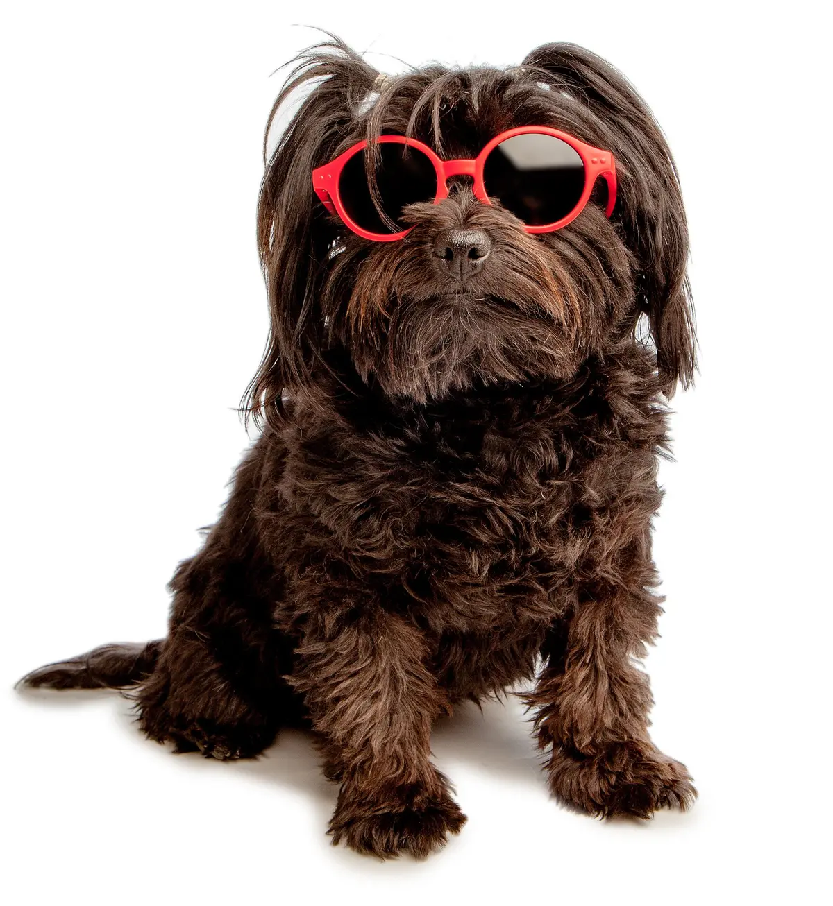 Izipizi | Sunglasses In Red 1