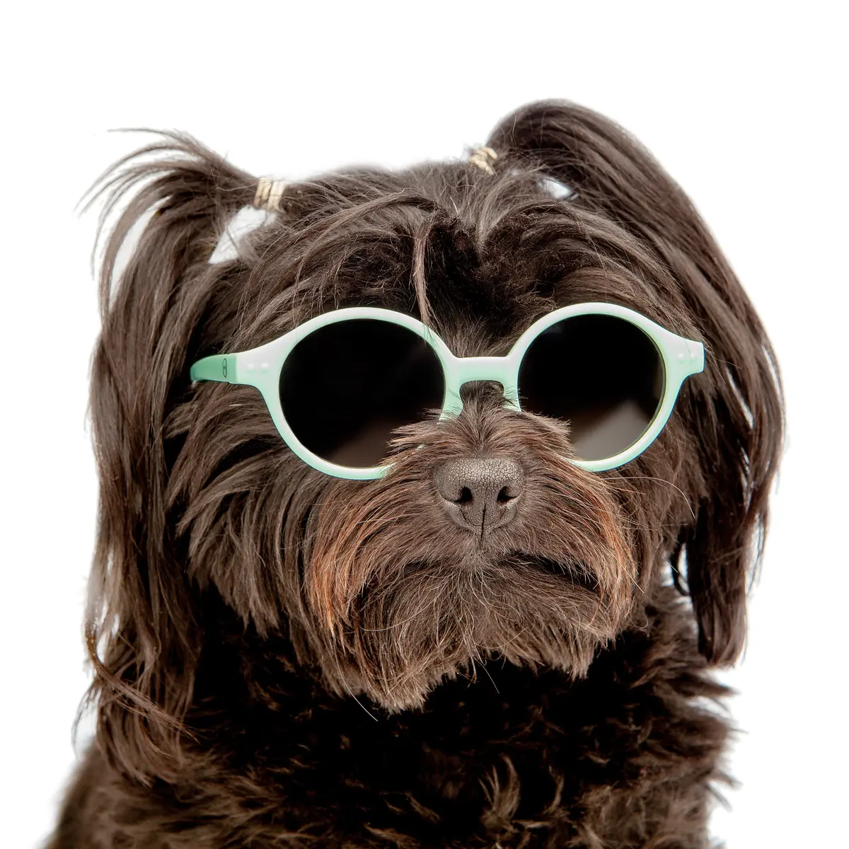 Baby Sunglasses In Sky Blue << Final Sale >> 1