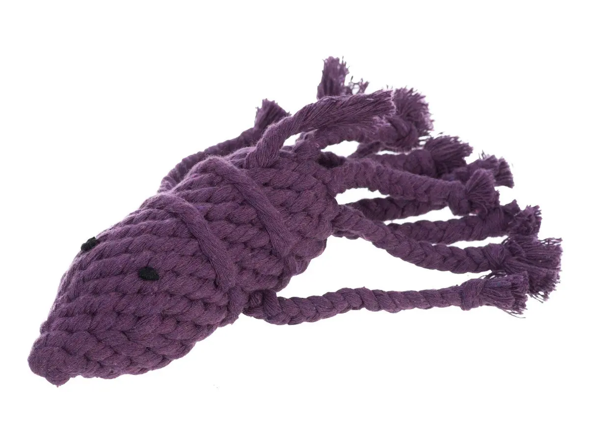 Jax & Bones | Squid Rope Toy 1