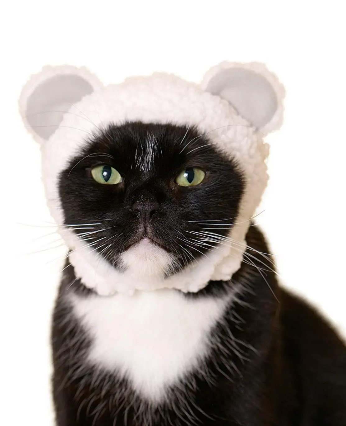 Bear Cap For Cats (Surprise Box) 1
