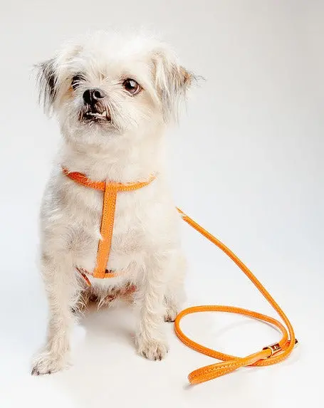 Italian Leather Dog Leash In Orange 1