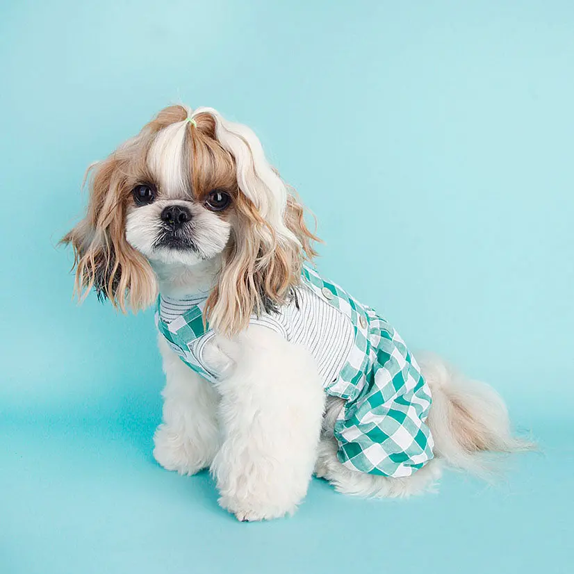 Little Collin | Balloon Overall In Green Check 1