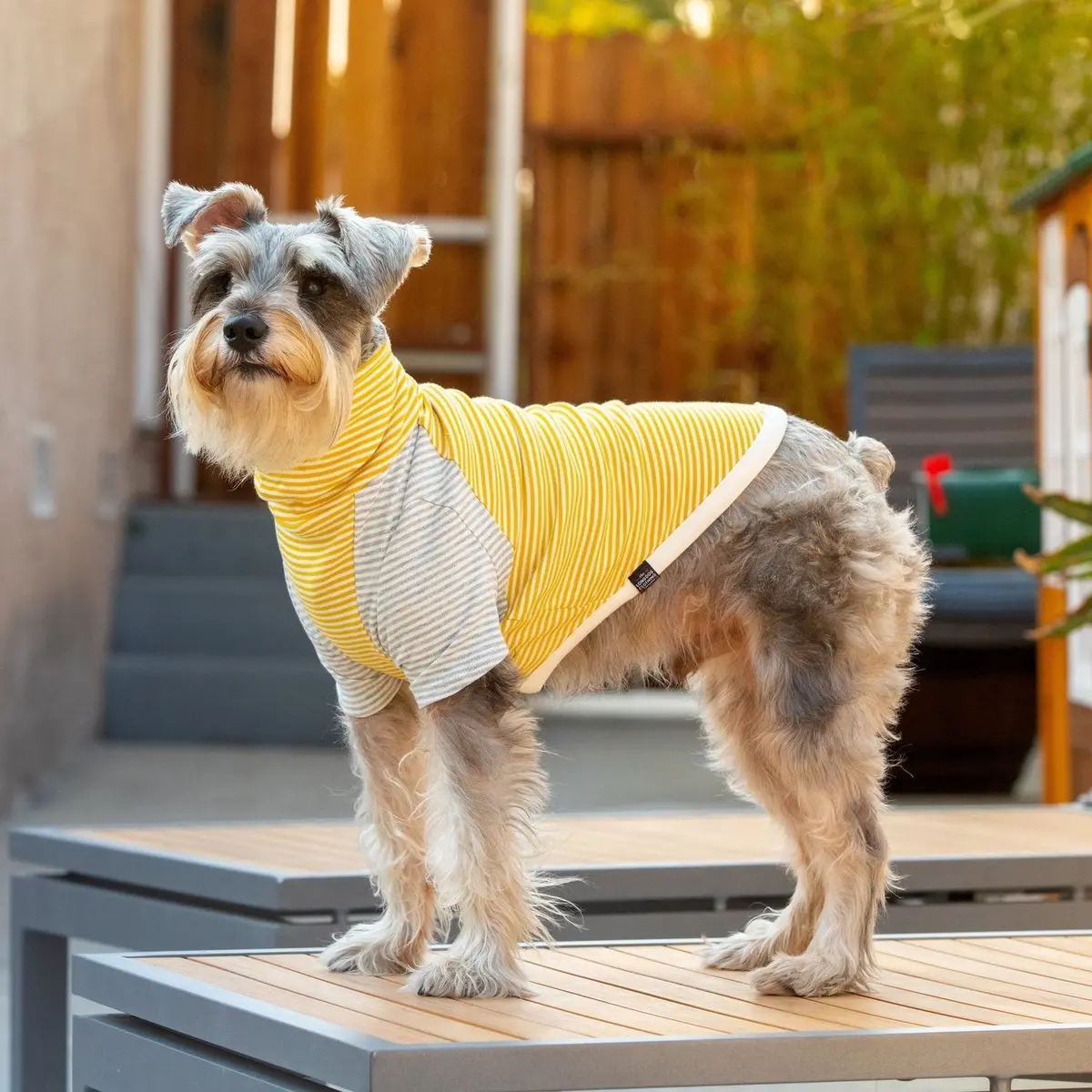 Long Dog Clothing | The Early Bird 1