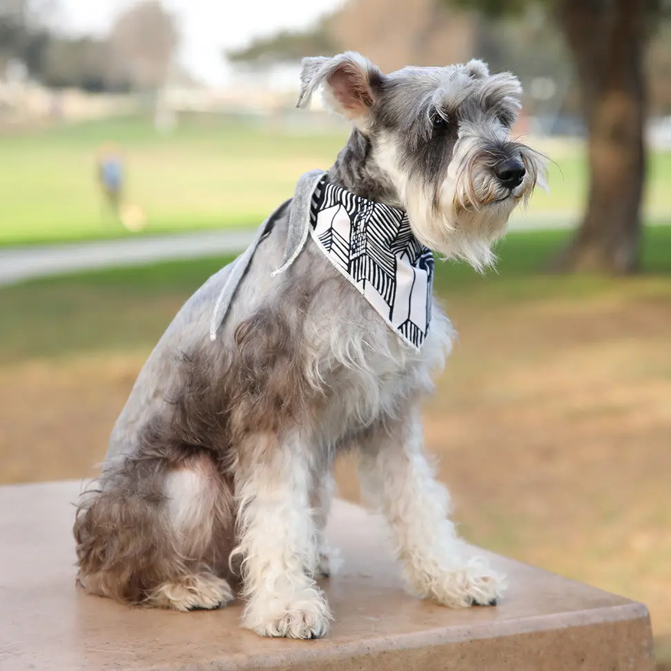 Long Dog Clothing | The Fletcher Bandana 1