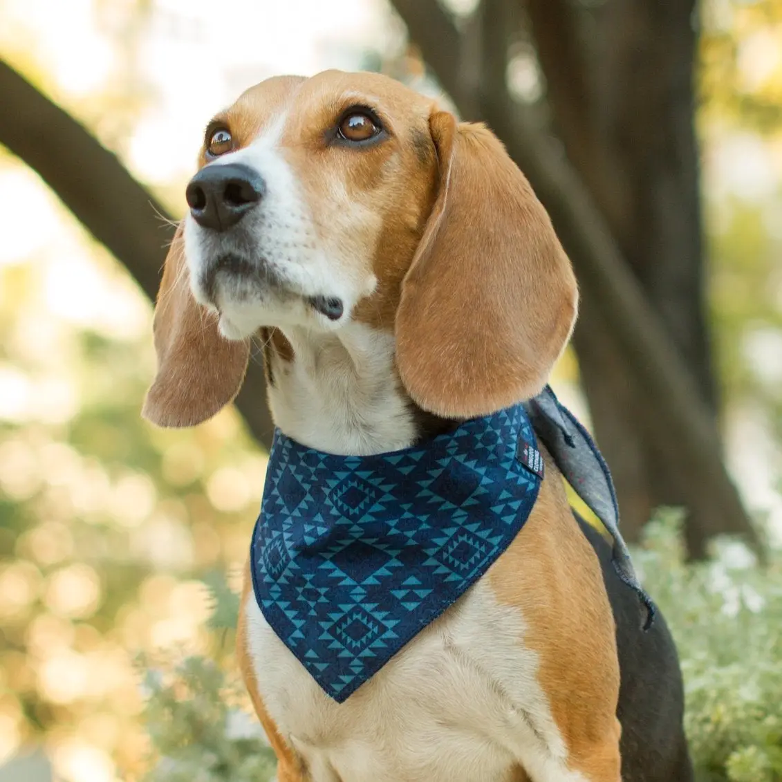 Long Dog Clothing | The Mayan Bandana 1