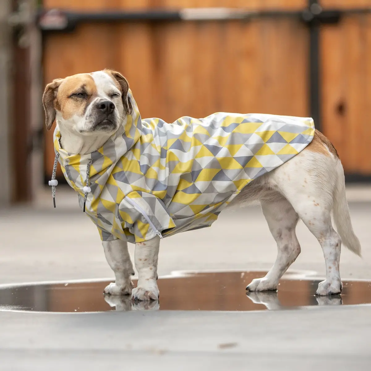 Long Dog Clothing | The Metric Raincoat 1