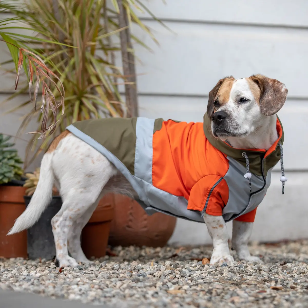 Long Dog Clothing | The Ranger Windbreaker 1