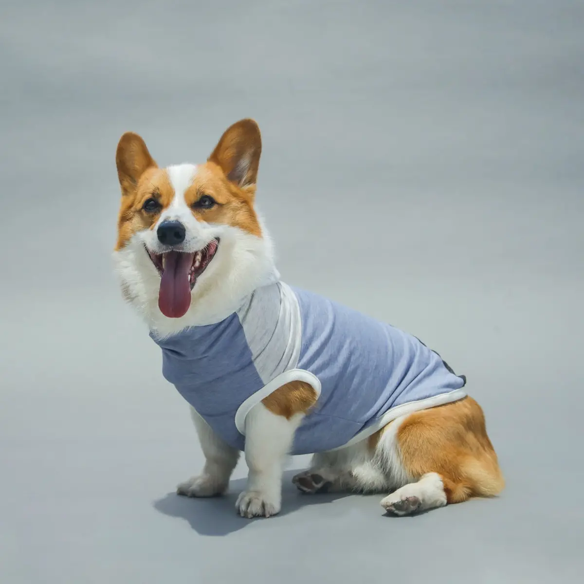 Long Dog Clothing | The Skater 1