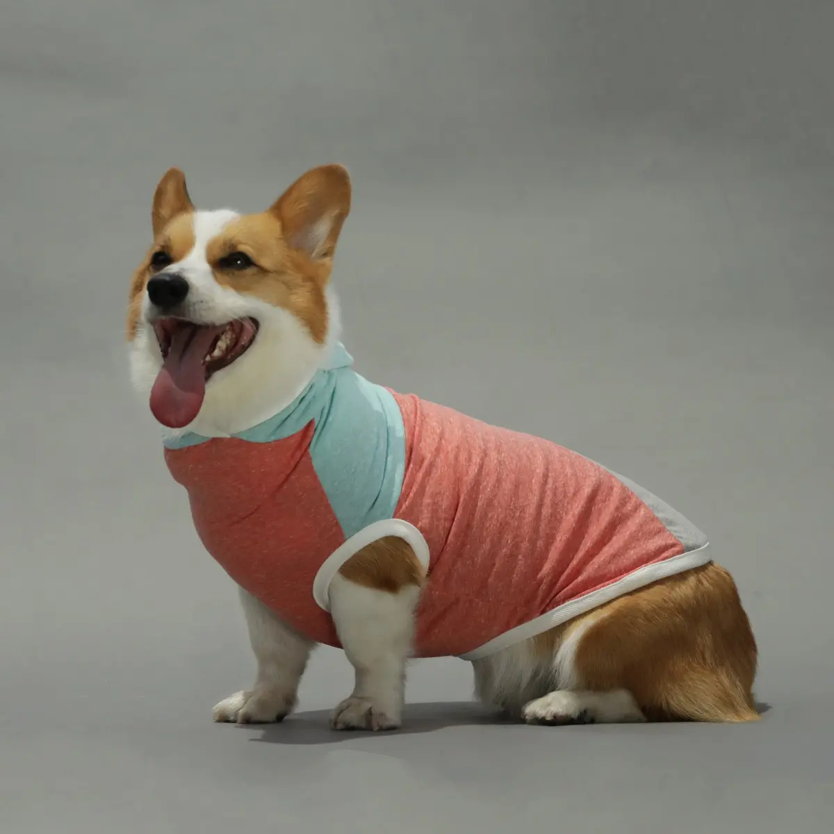 Long Dog Clothing | The Surfer 1