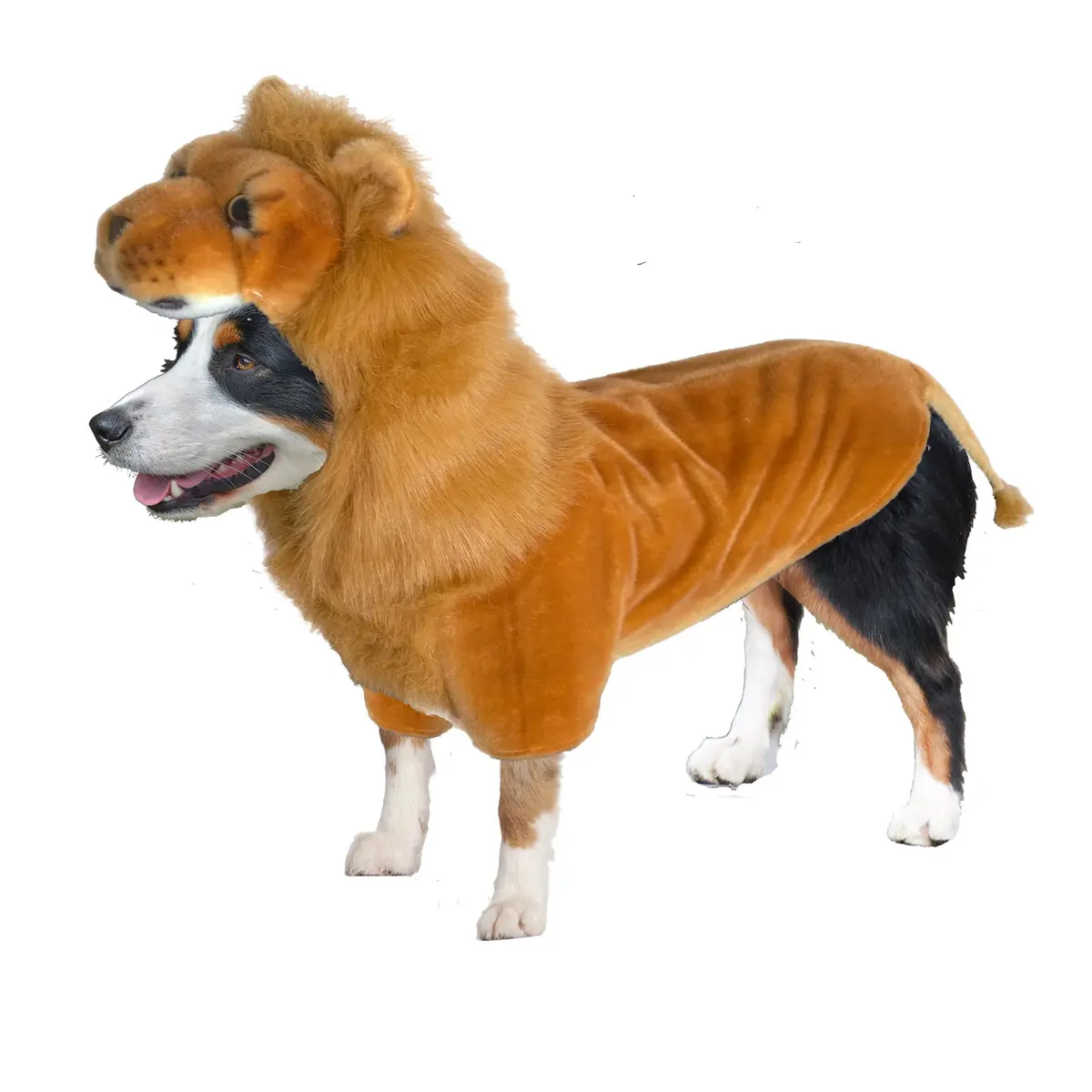 Amazing Pet Products | Lion Costume 1