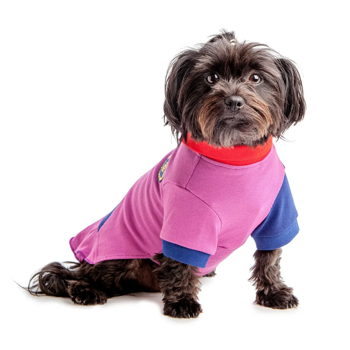 Best Furry Friends | Polo Dress In Purple And Red 2