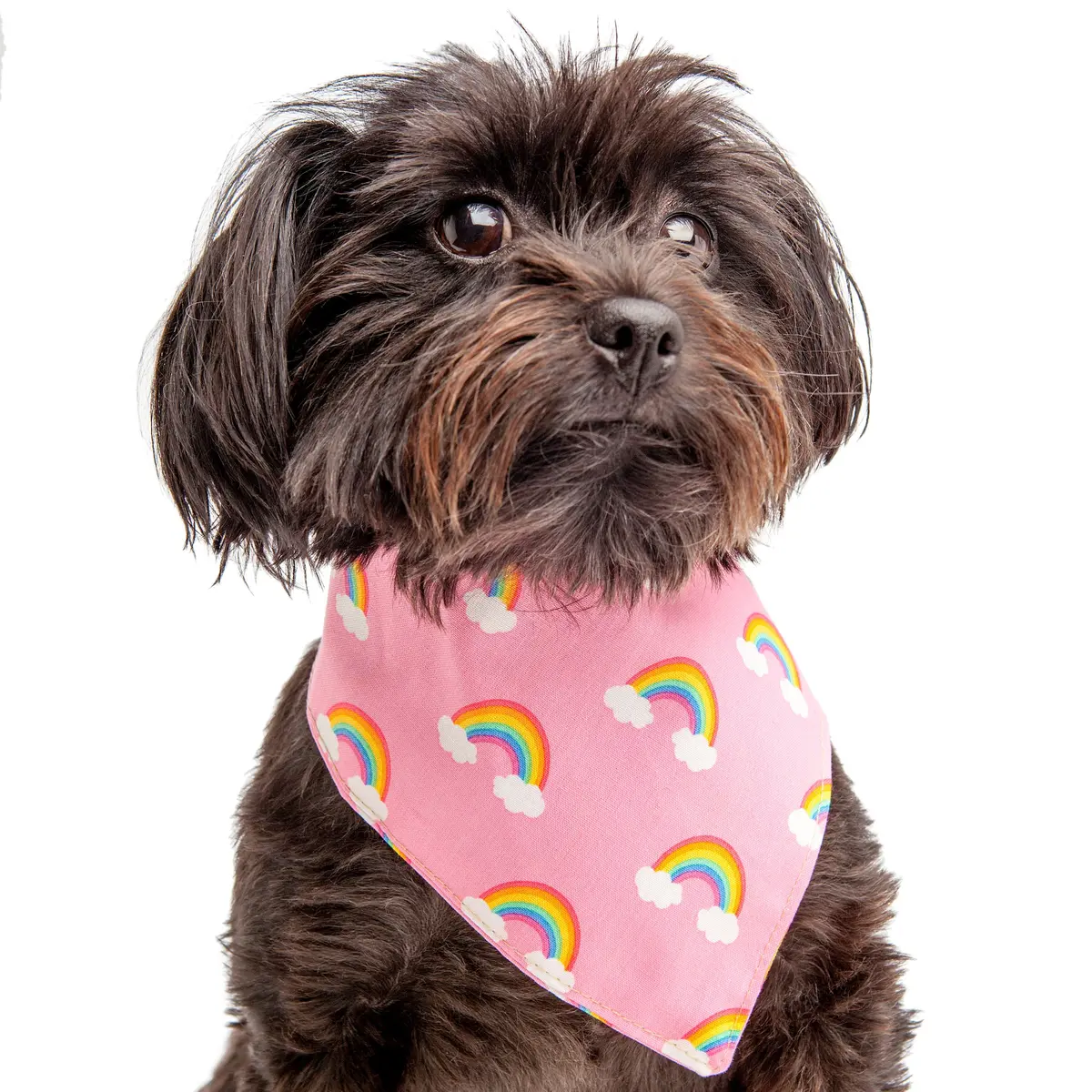 Trish Hampton | Rainbow Bandana 1