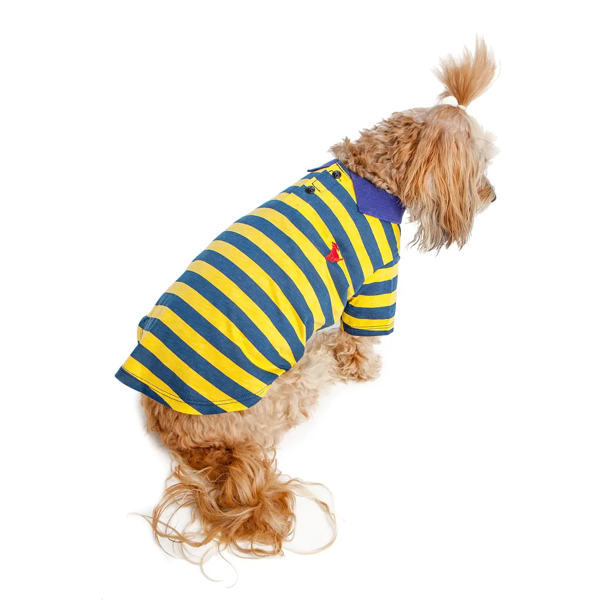 Best Furry Friends | Striped Polo In Yellow And Blue 3