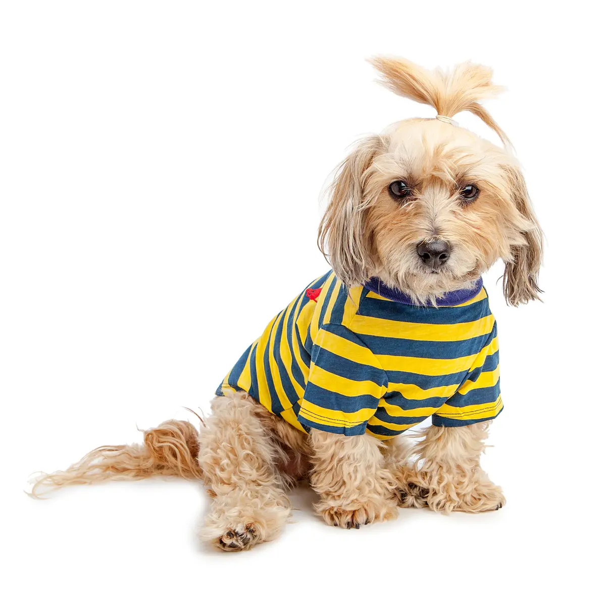 Best Furry Friends | Striped Polo In Yellow And Blue 1