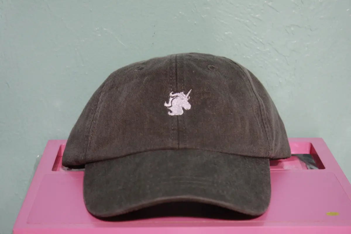 Delta Phi Epsilon Mascot Hat 1